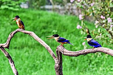 ESRB分级信息暗示《审判之眼》《审判之逝》登陆PC