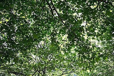 《优米雅的炼金工房》回应玩家反馈 正式版将进一步优化